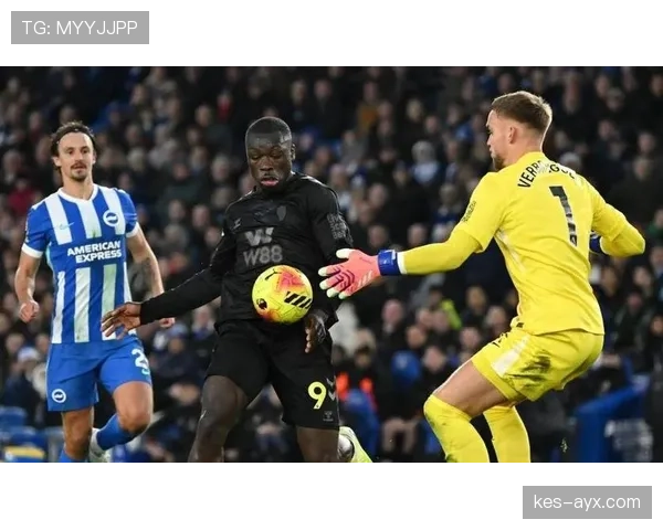 布莱顿控球体系再创新高，战术革新助球队竞争力显著提升