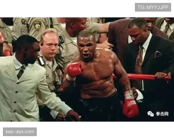 泰森·富里晒的早餐摆了一排能租套房的钱，我就静静看着手机